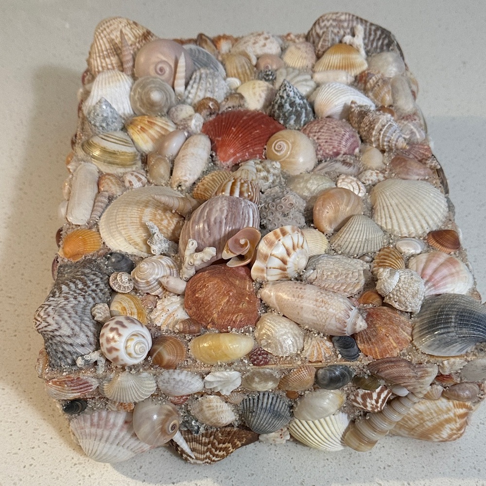 Seashell Decorative Box - Picture 6 of 7